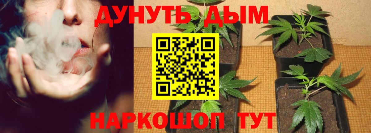 Каннабис ГИДРОПОН  Конопля Bruce Banner  Бошки марихуана гибрид  Ишим  Вход с VPN  Марихуана семена 